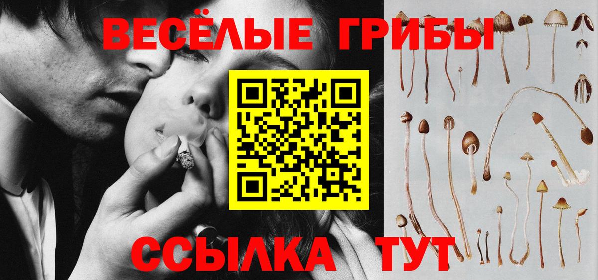 Галлюциногенные грибы Cubensis Скопин